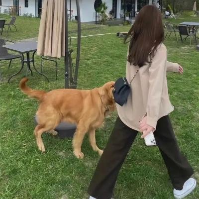 染成茜色的坂道